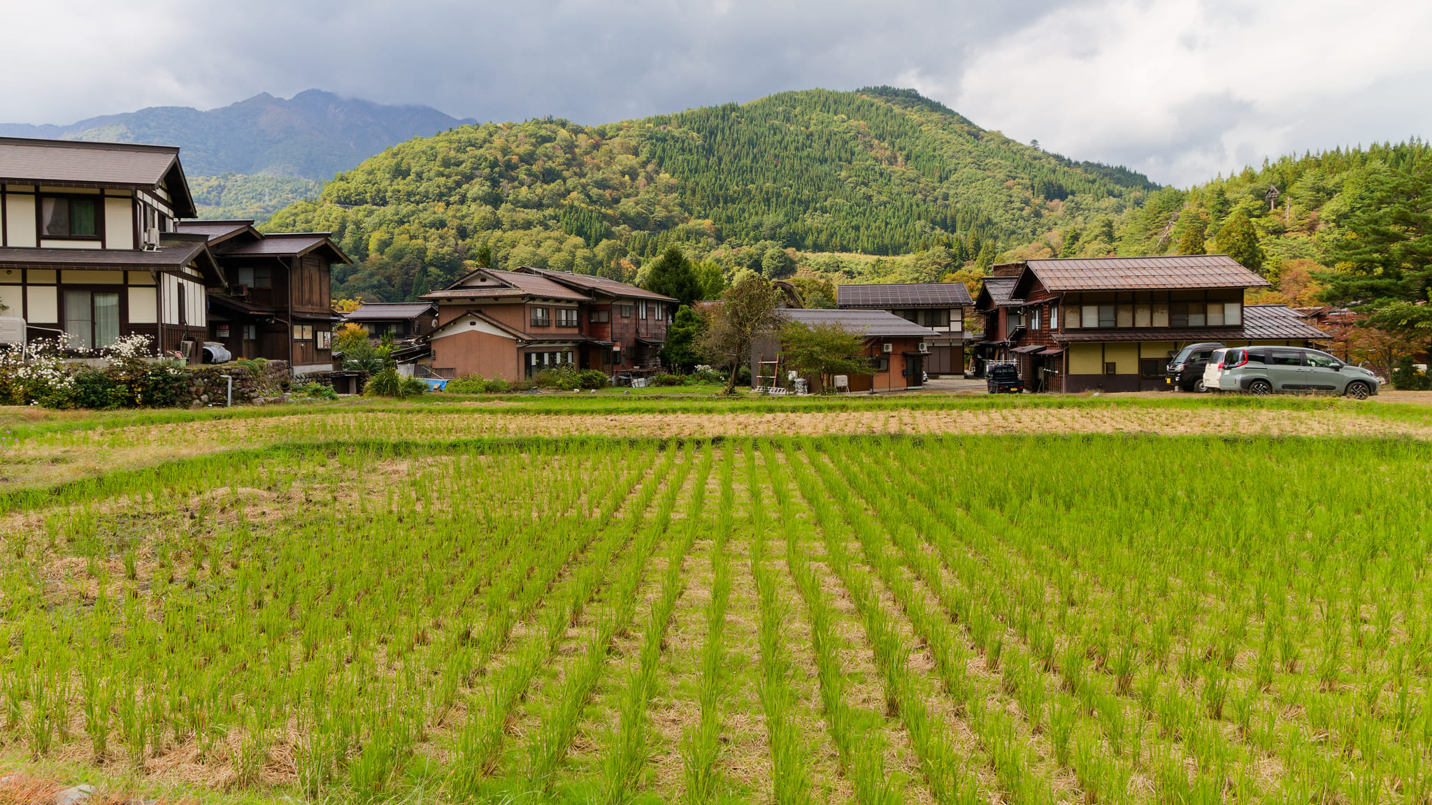 06-Shirakawa-go (11).jpg